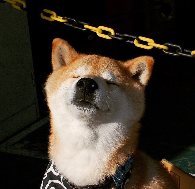 “德国足球新时代，年轻力量崭露头角”，德国足球队2020