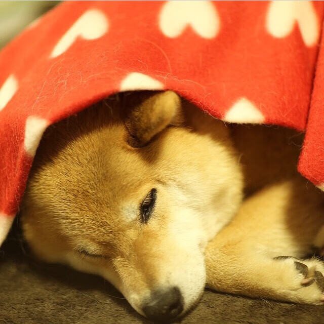 《2025英雄联盟全球总决赛,KT战队上演史诗逆转》,20年lol全球总决赛