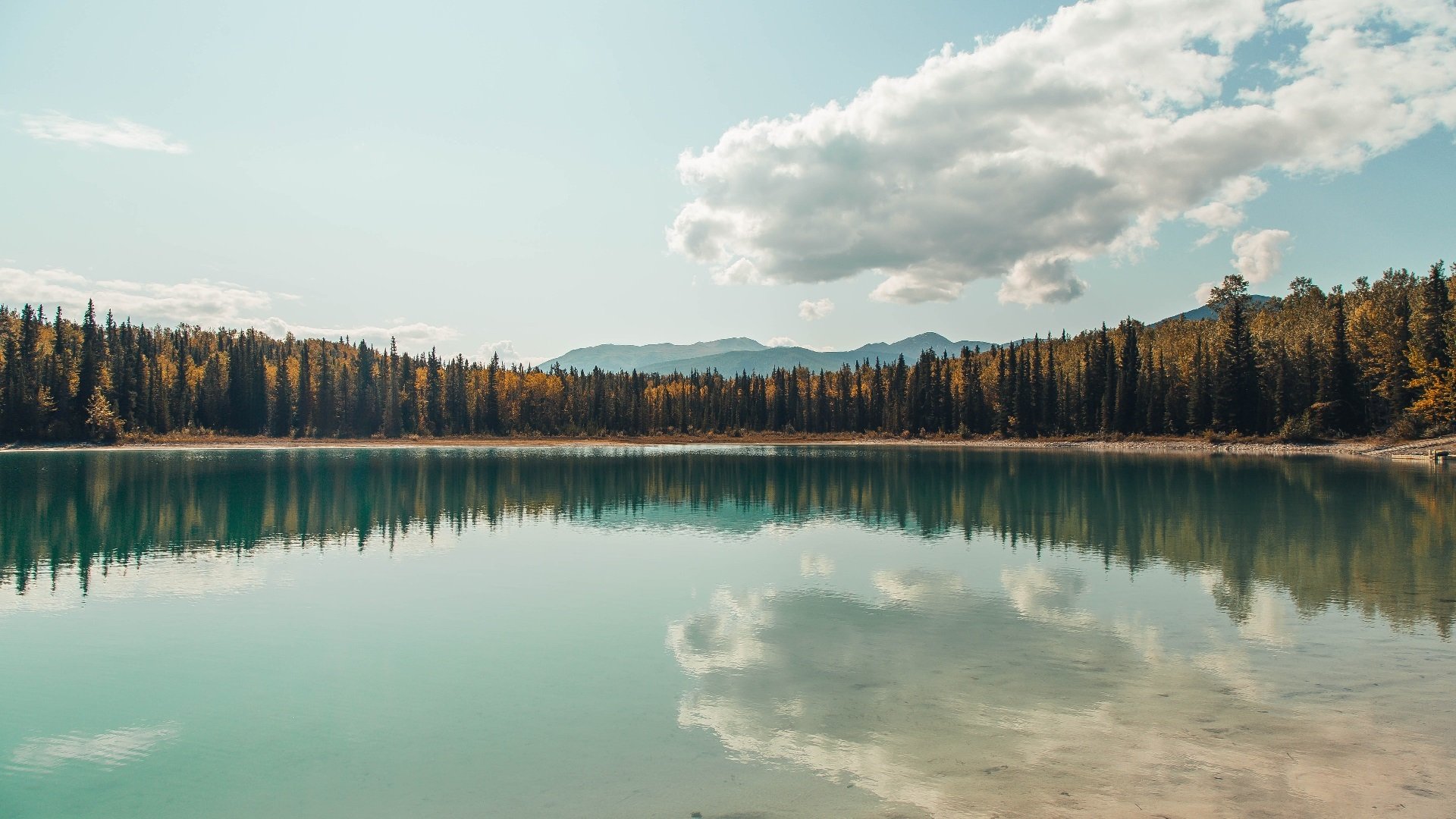 开云官方-一线明星助阵，点燃现场气氛，一线明星榜