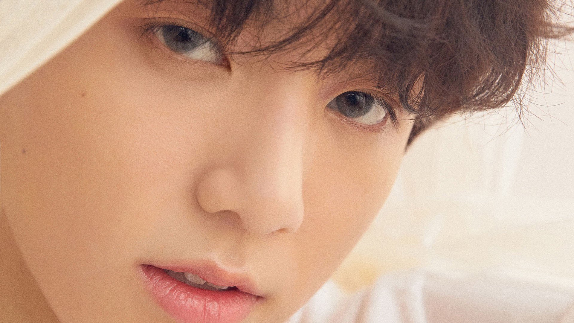 开云体育官方网站-世界马术锦标赛中国骑手表现优异，跻身前十，世界马术冠军