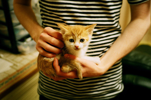 业余选手到职业选手的成长路径调查,职业选手和业余选手的区别感悟