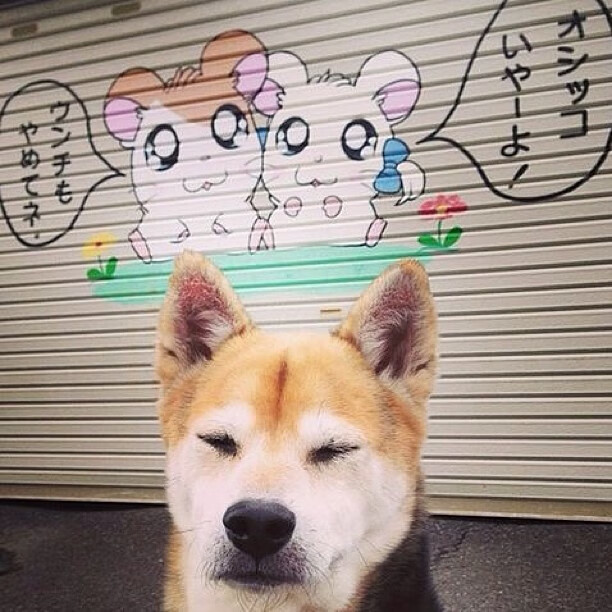 开云体育APP-弗朗茨·巴图姆在NBA常规赛中贡献稳定，巴图姆生涯