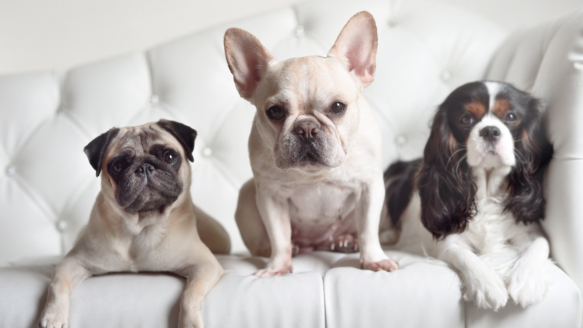 开云平台-篮球运动员综合素质提升项目实施，篮球运动员综合素质评价