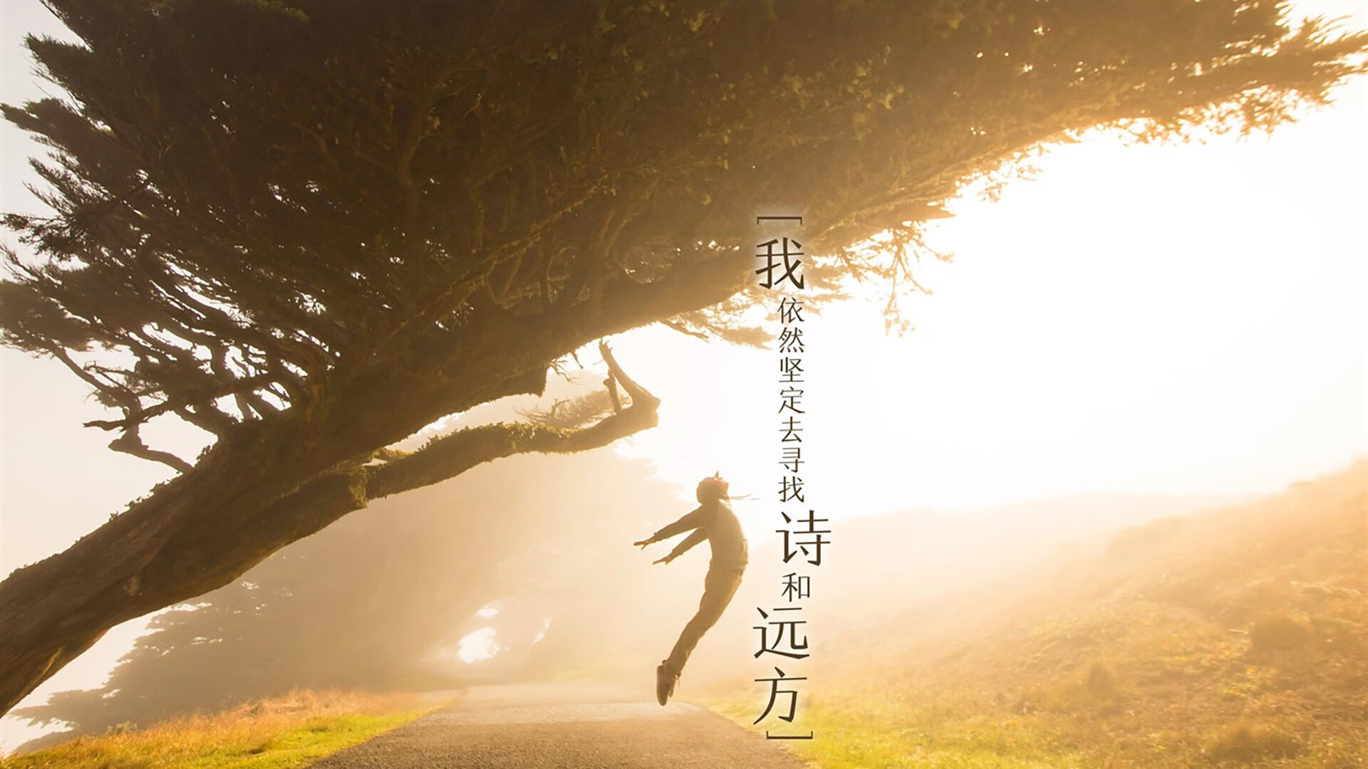 开云体育网址-西甲：皇马2-2平瓦伦西亚，比赛中多次精彩过人，皇马2_0瓦伦西亚