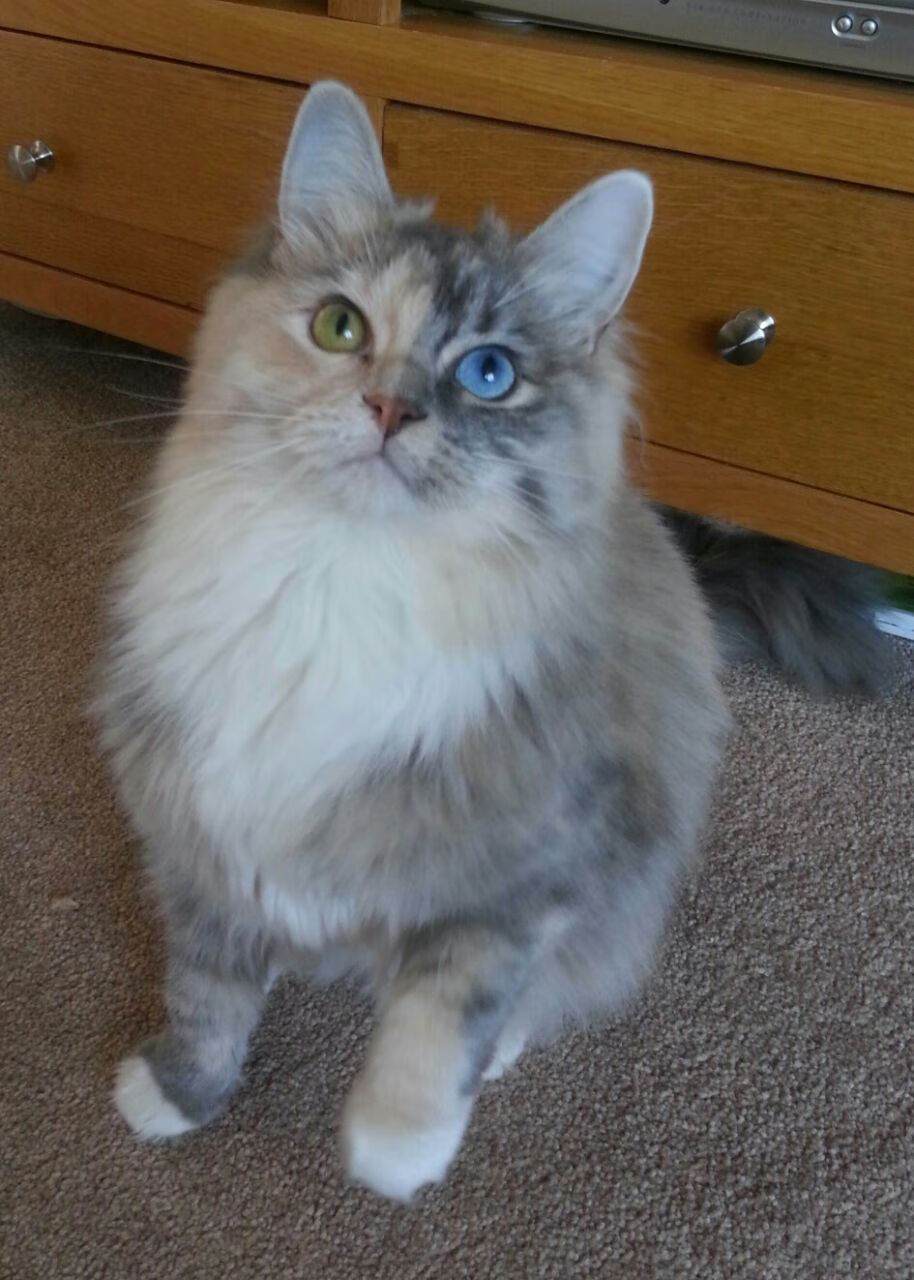 西甲：马德里竞技客场取胜，稳固前四位置，马德里竞技队主场