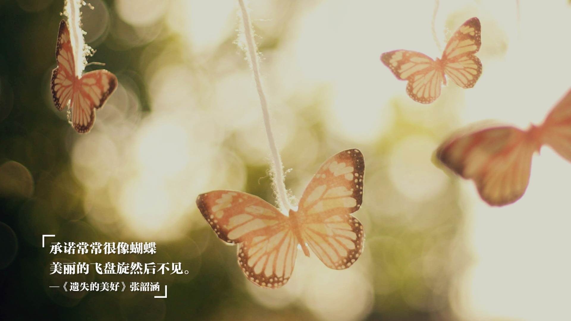 足球运动的奇葩纪录,刷新你的认知!,足球界的奇葩