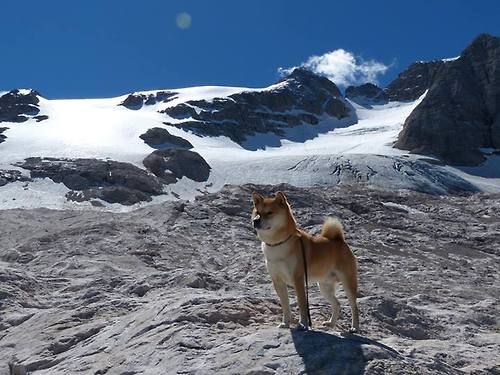 Astralis 与丹麦红十字会青年组织合作，推广社会责任