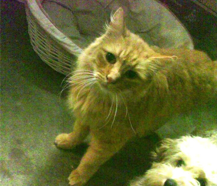 是否应通过比赛推广更多社会议题，如何推广比赛