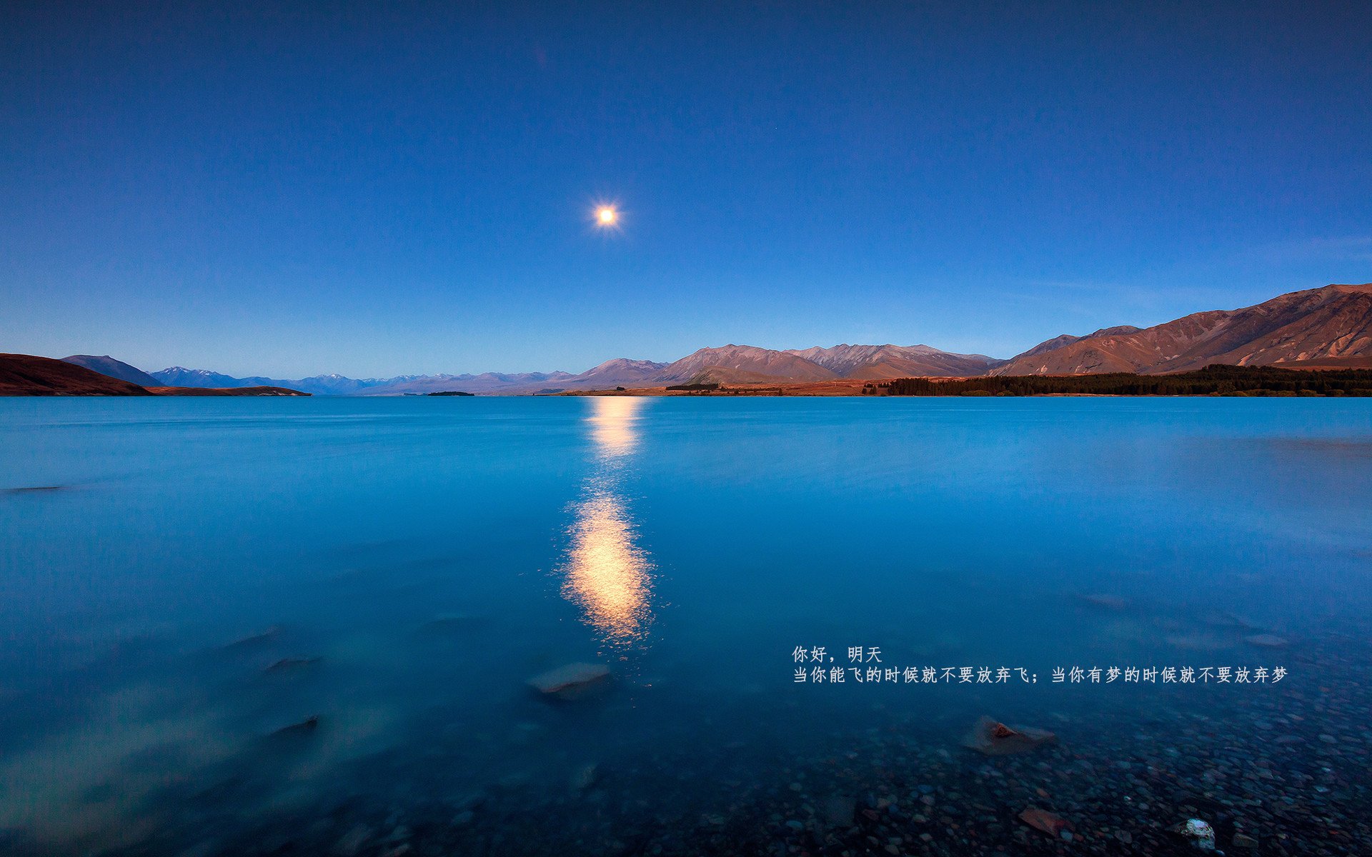 开云体育客户端-国足定位球战术破门次数趋势追踪，国足稳定