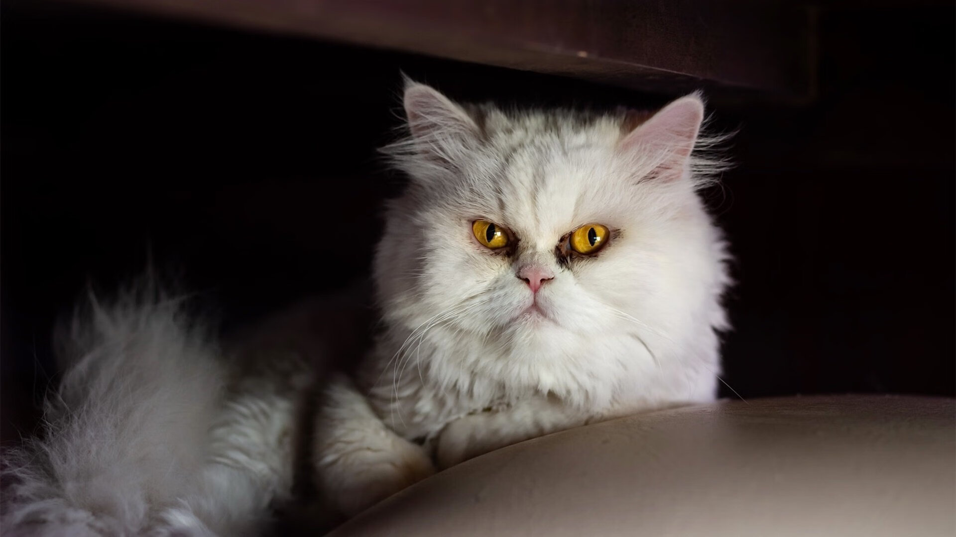 五大联赛换帅周期与球队排名提升之间是否存在关联，五大联赛可以换5人