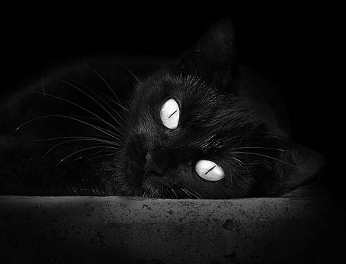 低位进攻在现代篮球中的生存空间，低位进攻在现代篮球中的生存空间包括